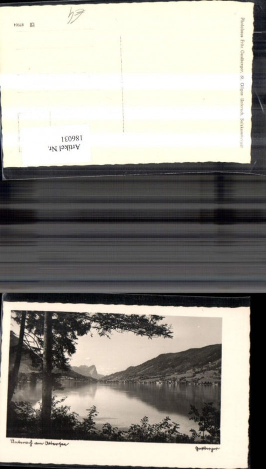 186031,Unterach a. Attersee Foto Ak