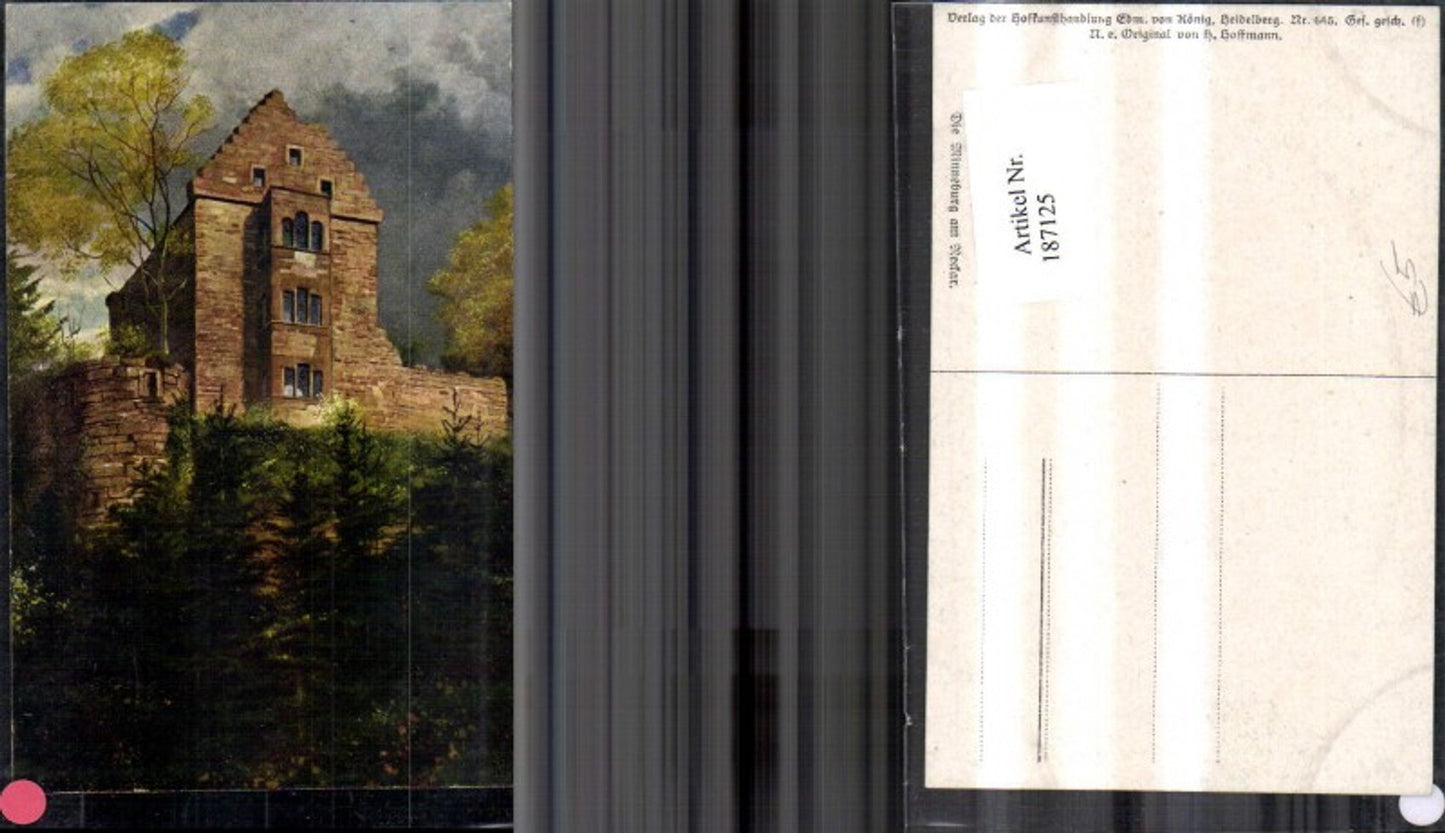 187125,Künstler Ak Heinrich Hoffmann Die Minneburg a. Neckar