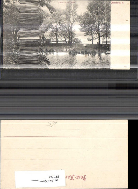 187392,Hamburg Partie a. d. Alster Schwäne