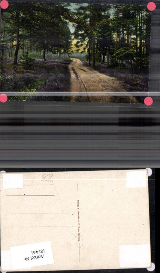 187461, Hamburg Harburg, crossroads between Haake and Emme, view of the path through the forest