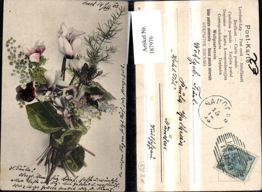 187976, Congratulations Bouquet of flowers Cyclamen