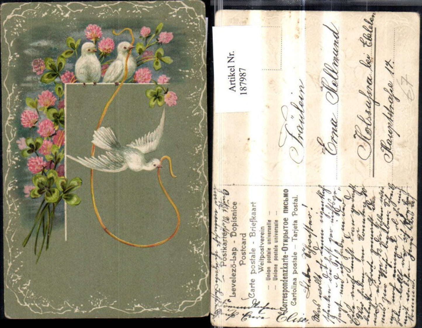 187987, Congratulations embossed postcard, flowers, dove, ribbon, string
