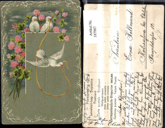 187987, Congratulations embossed postcard, flowers, dove, ribbon, string