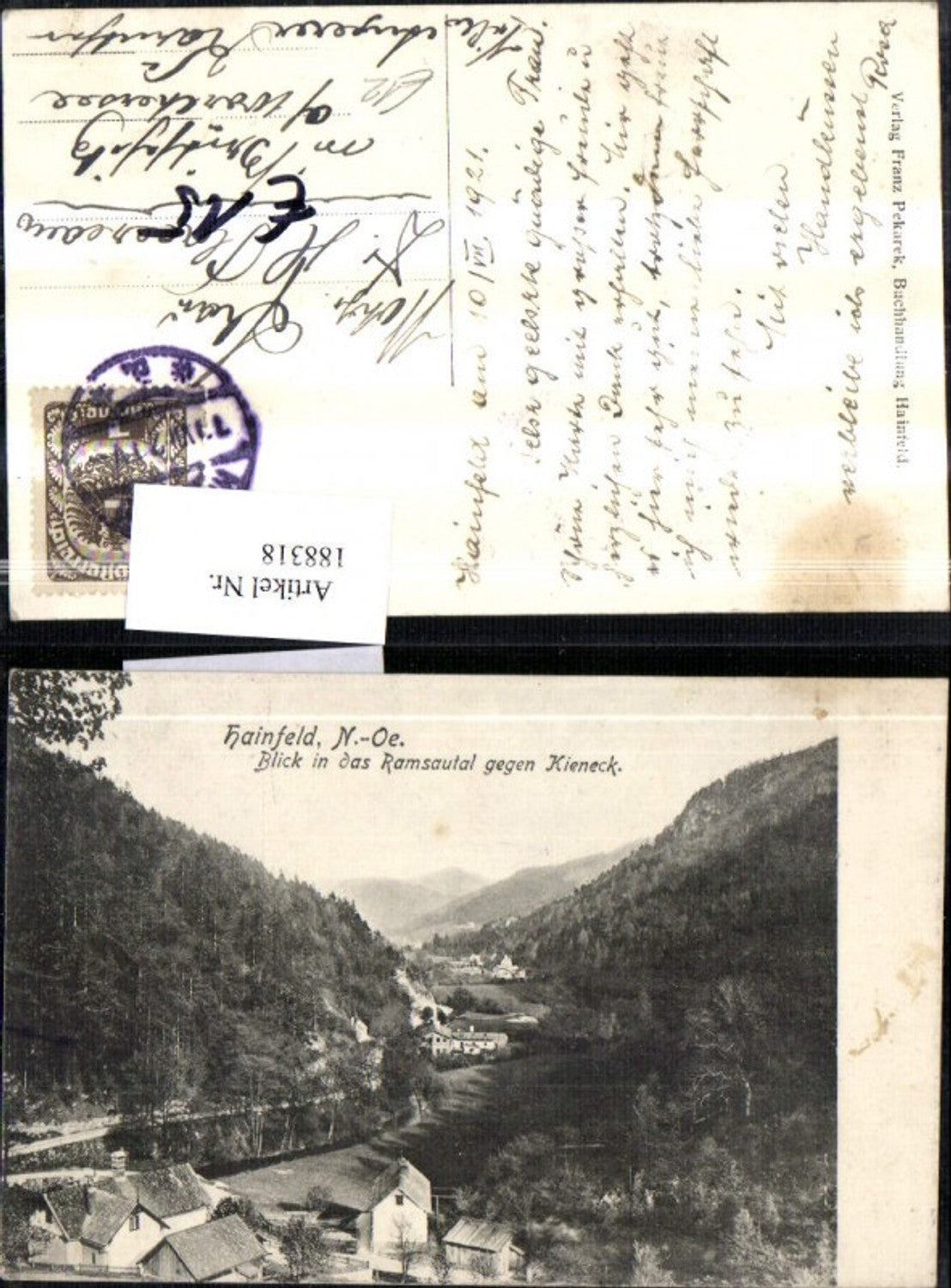 188318,Hainfeld Blick i. d. Ramsautal geg. Kieneck Foto Ak