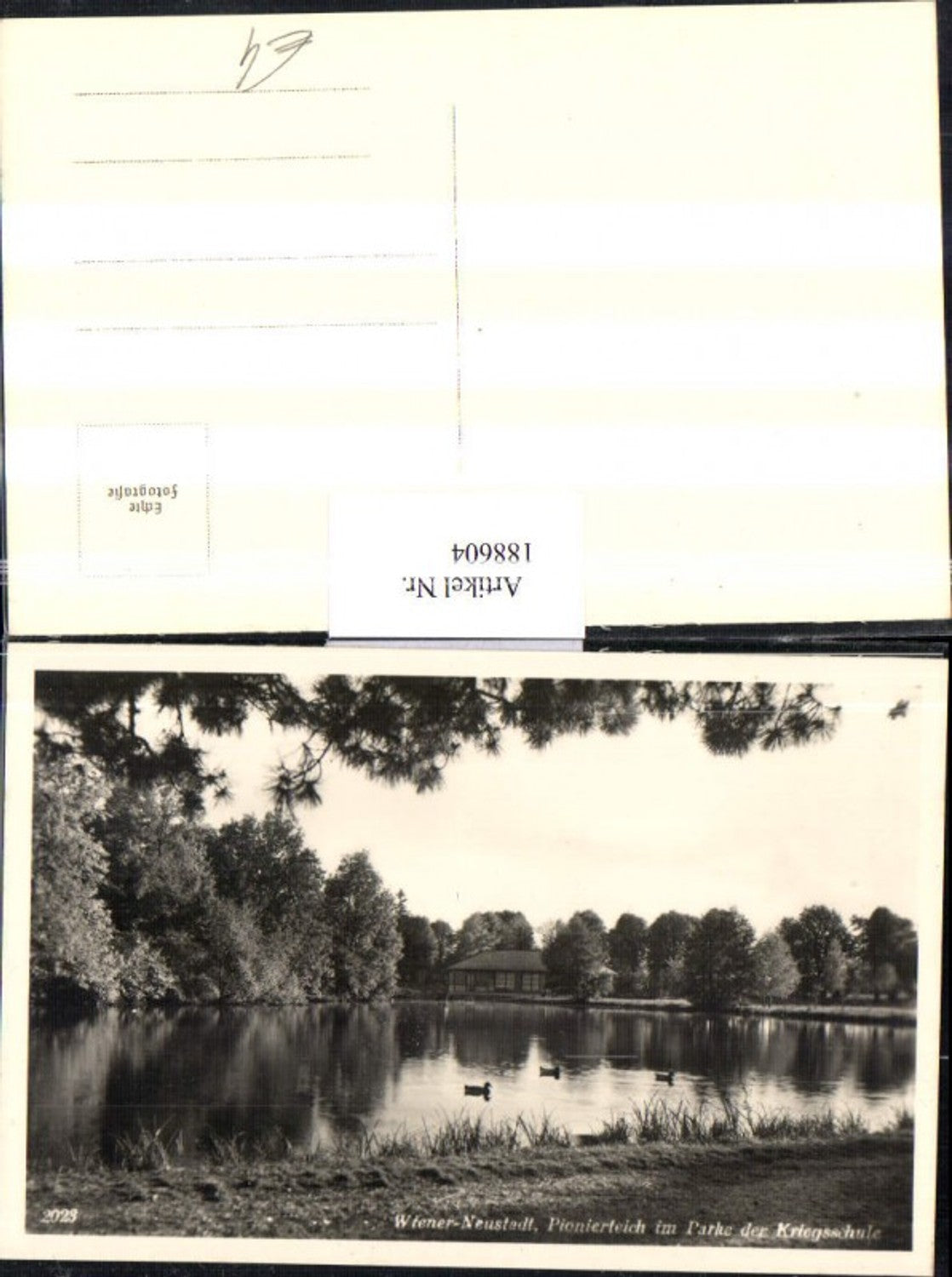 188604,Weiner-Neustadt Pionierteich im Parke d. Kriegsschule ...