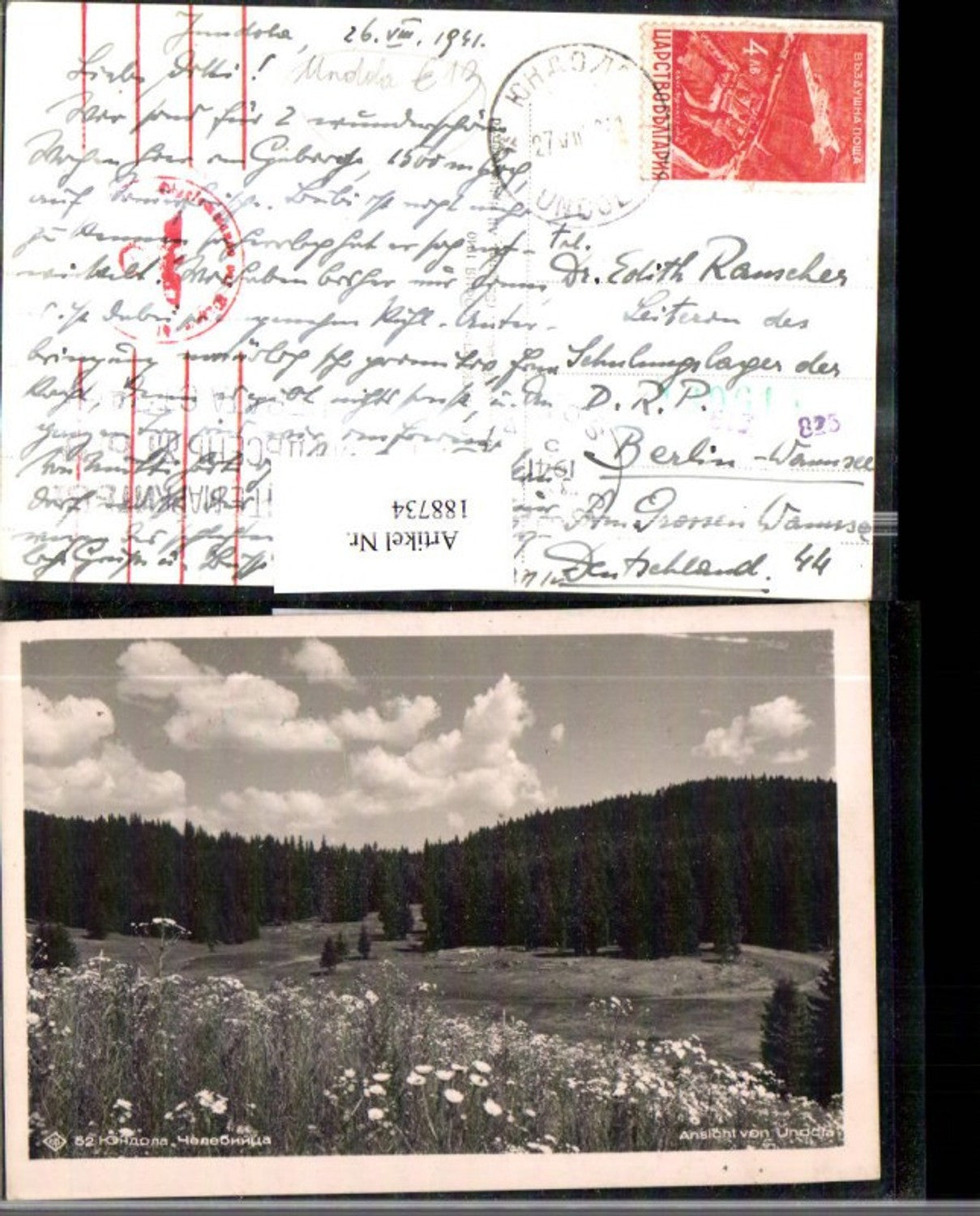 188734,Bulgarien Ansicht v. Undola Wiese Wald