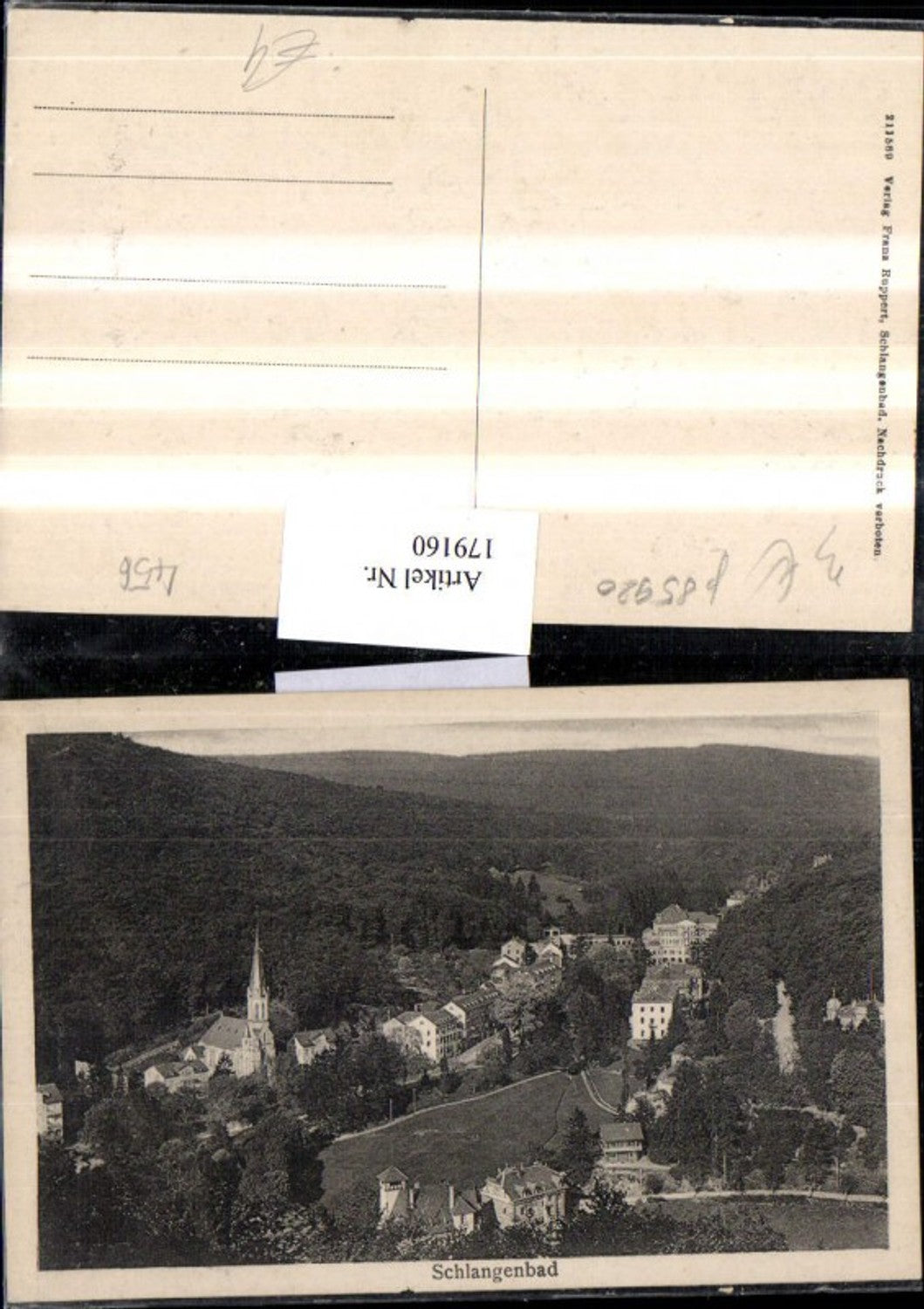 179160,Hessen Schlangenbad Totale