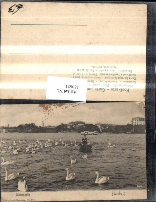 180621, Hamburg Alster boat trip swans
