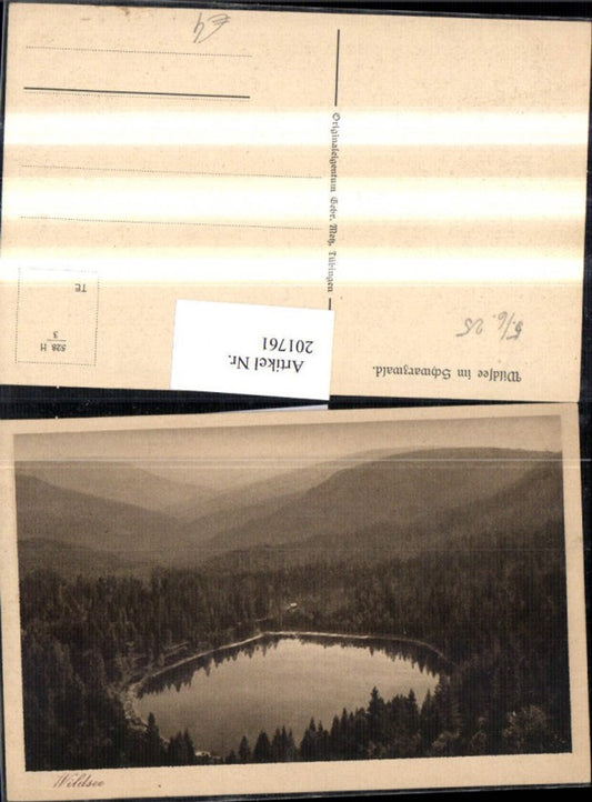 201761, Wildsee near Bad Wildbad in the Black Forest