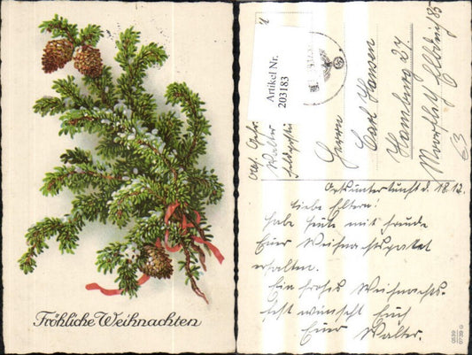 203183, Christmas Fir branches Cones Red ribbon