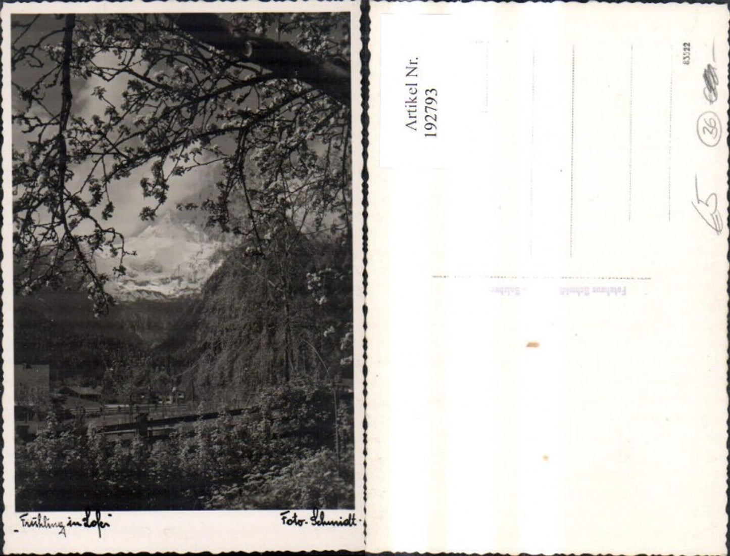 192793,Lofer i. Frühling Foto Ak