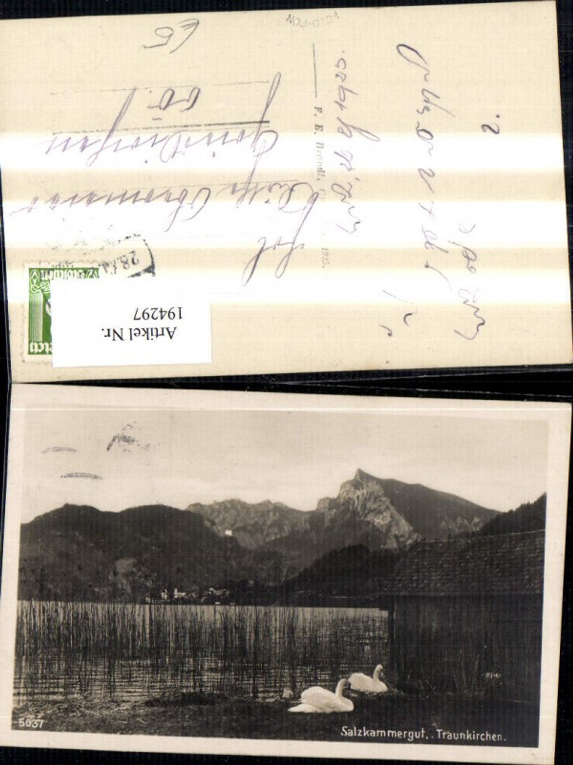 194297,Foto Ak Traunkirchen Salzkammergut Traunsee Ansicht m. Schwäne Ufer Schilf