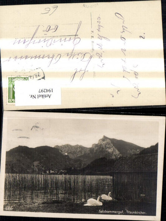 194297,Foto Ak Traunkirchen Salzkammergut Traunsee Ansicht m. Schwäne Ufer Schilf