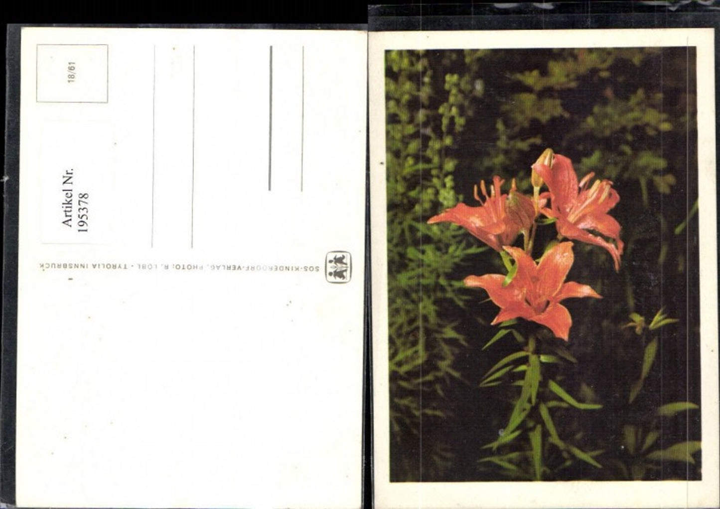 195378, SOS Children's Village 18/61 Flower Lily