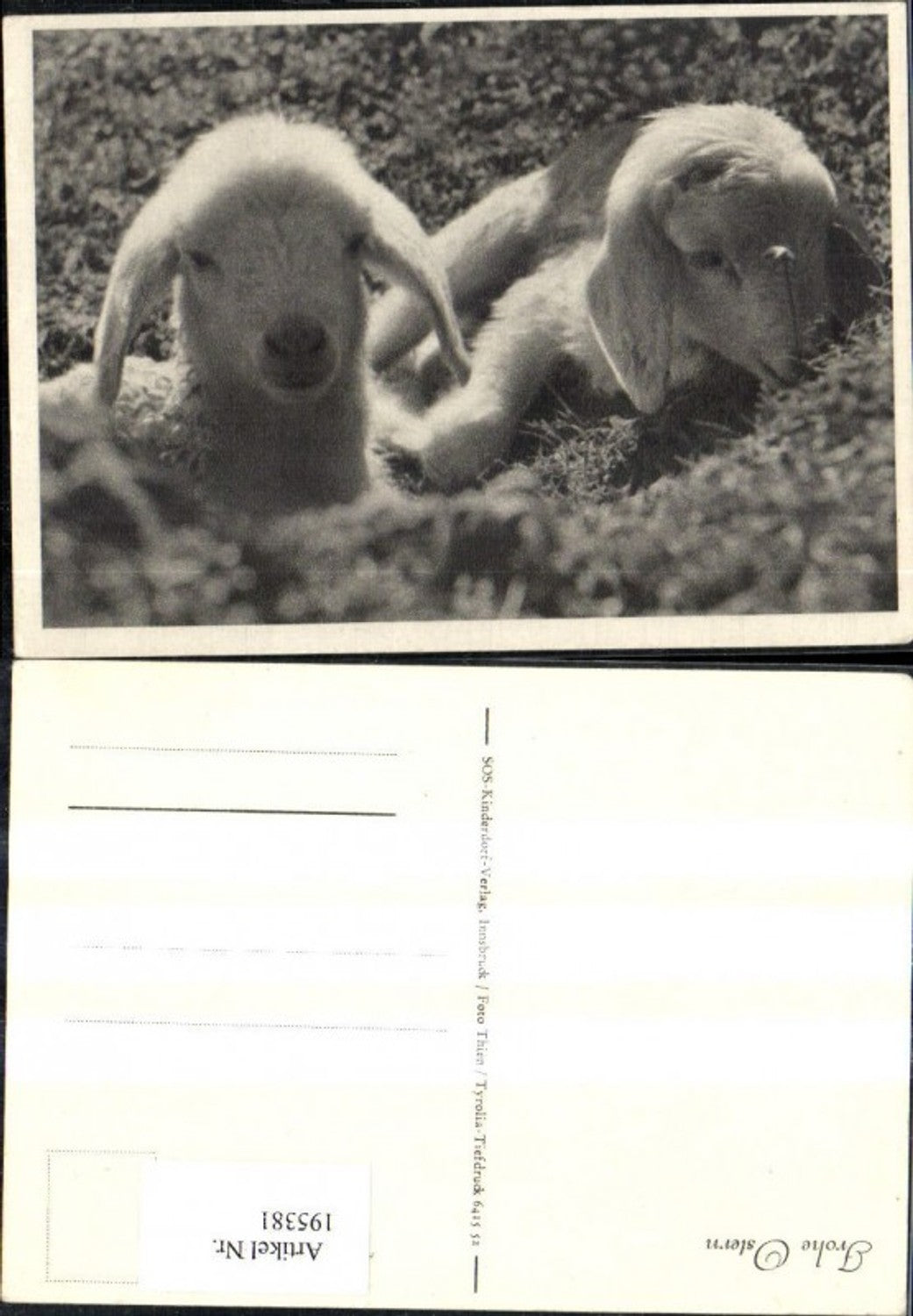 195381, SOS Children's Village Happy Easter Lambs