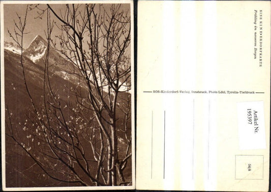 195397, SOS Children's Village 54/8 Spring in our mountains