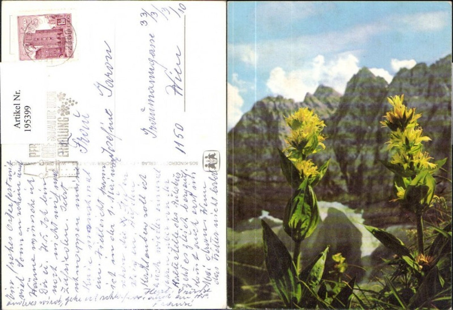 195399, SOS Children's Village Flowers from a mountain backdrop