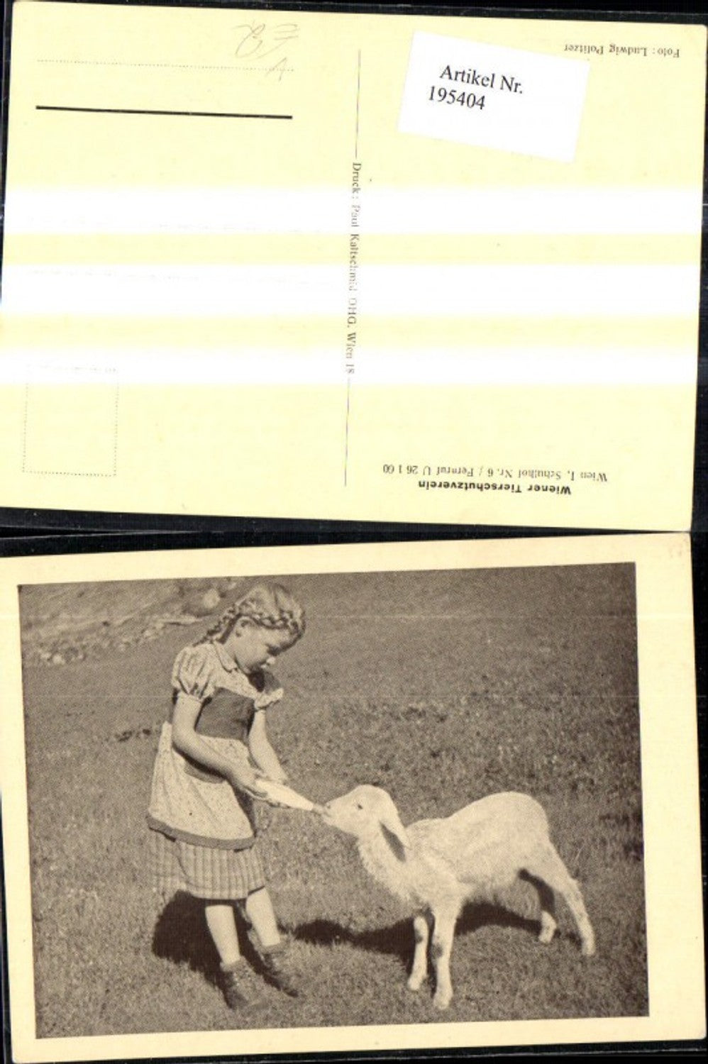 195404, Vienna Animal Welfare Association Child Girl gives lamb milk bottle feeding