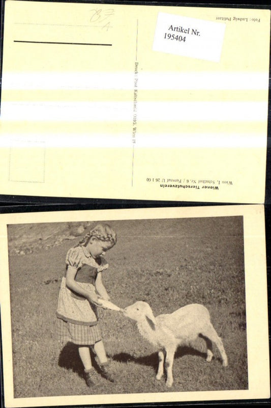 195404, Vienna Animal Welfare Association Child Girl gives lamb milk bottle feeding