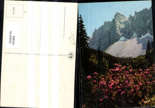 195408, SOS Children's Village O 3/1970 Flowering shrubs against a mountain backdrop