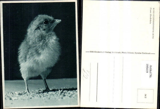 195419,SOS Kinderdorf 54/2 Unser Huckebein Vogel Küken