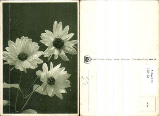 195422,SOS Kinderdorf 10/56 Blumen Blüten