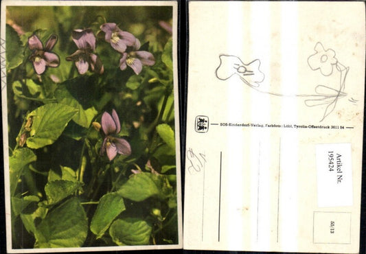 195424,SOS Kinderdorf 55/13 Blumen Veilchen