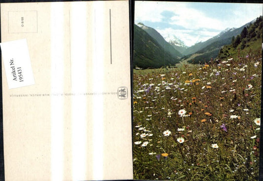 195431,SOS Kinderdorf O 8/68 Blumenwiese Blumen v. Bergkulisse