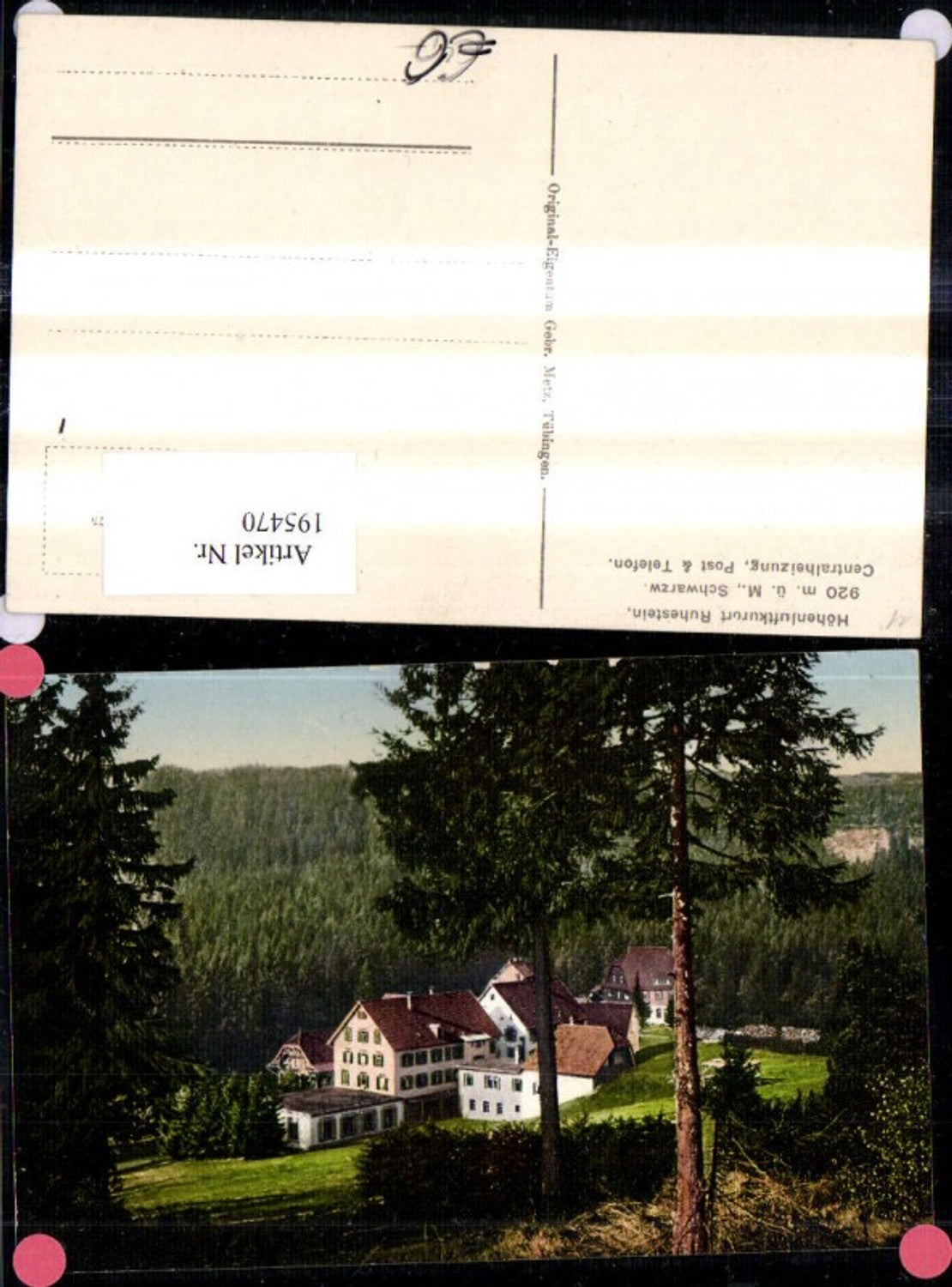 195470,Ruhestein Schwarzwald Baiersbronn