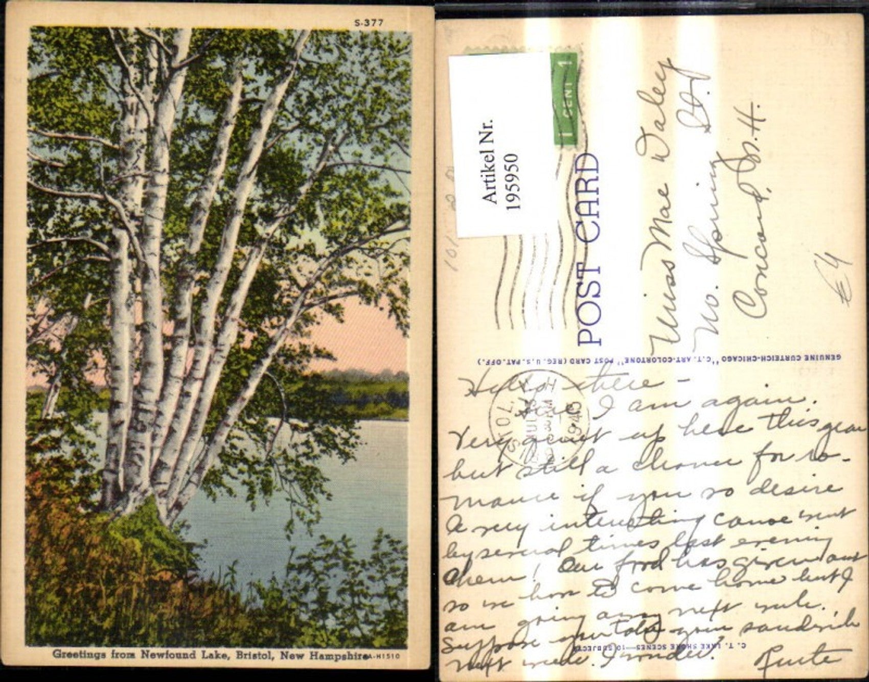 Alte Ansichtskarte – Old Postcard