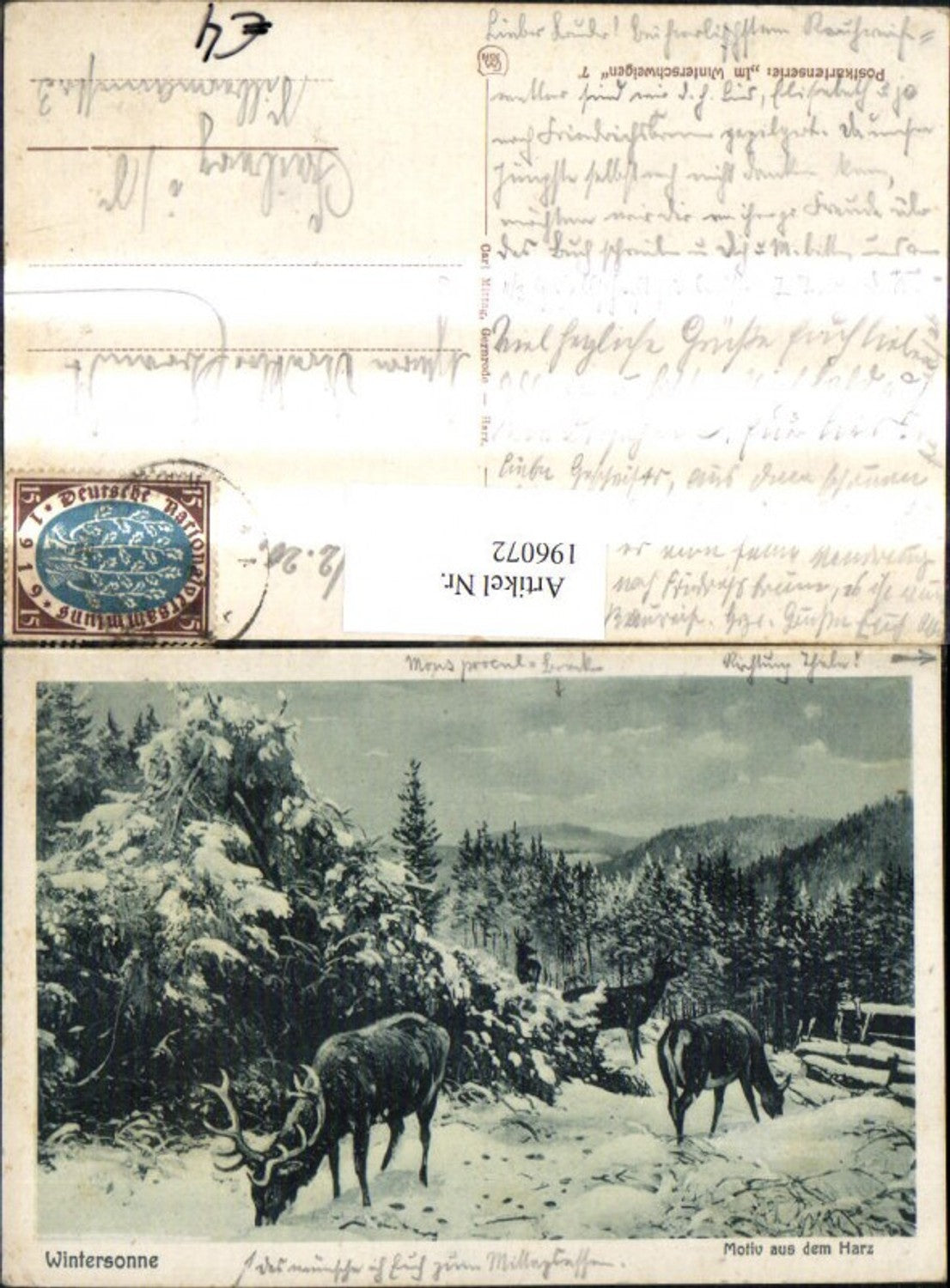 196072,Wintersonne Motiv aus d. Harz Hirsch Reh Winterbild