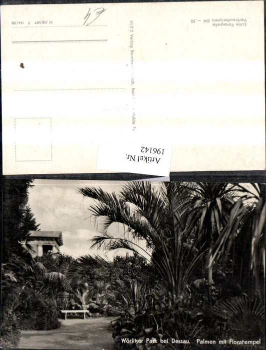 196142,Wörlitzer Park b. Dessau Palmen m. Floratempel Partie
