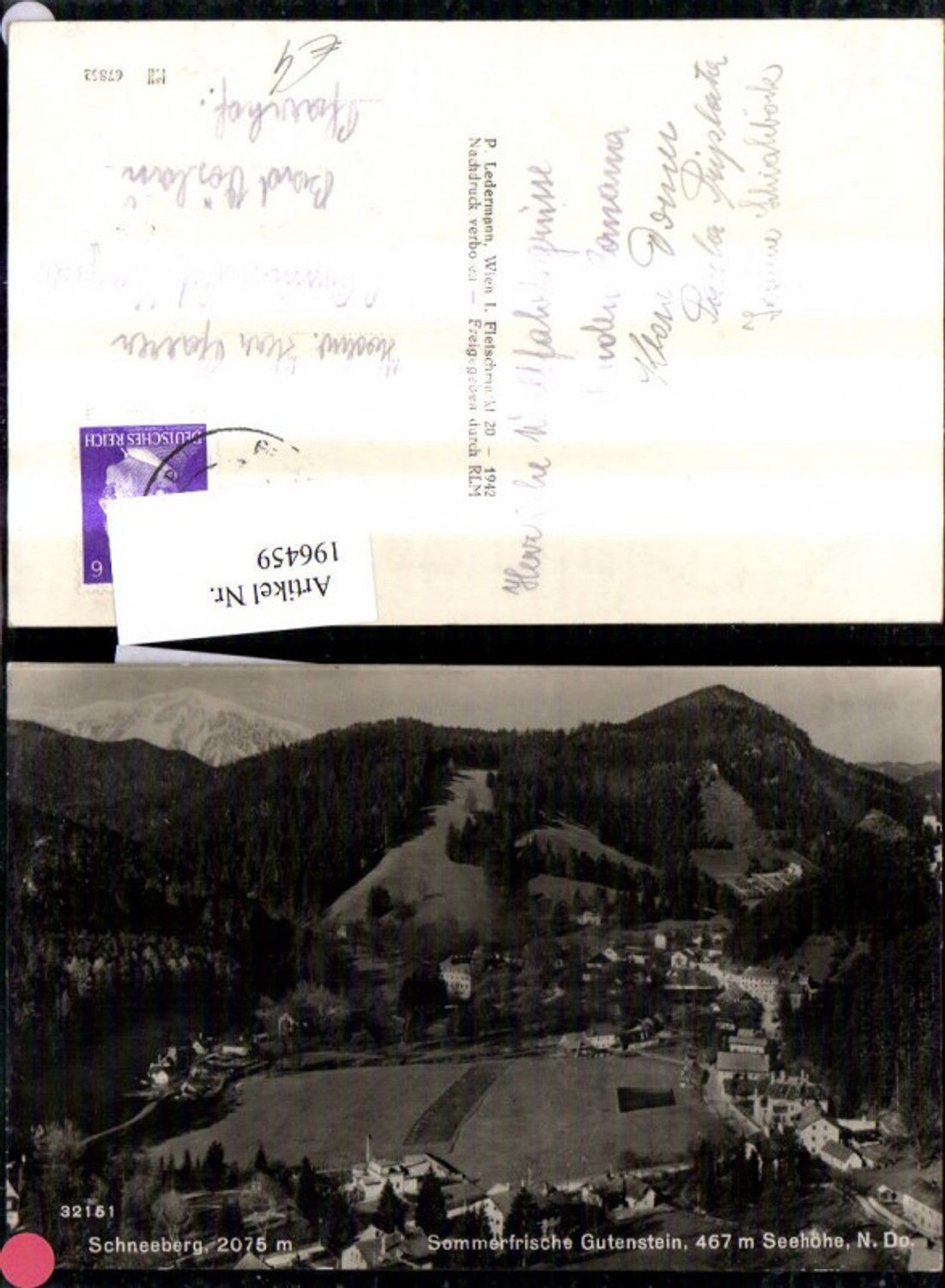 196459,Gutenstein Totale m. Schneeberg