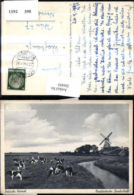 204495,Windmühle Mühle Deutsche Heimat Norddeutsche Landschaft Kühe