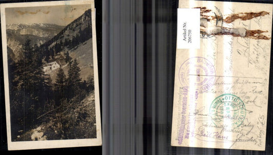 206750,Foto Ak Baumgartnerhaus a. Schneeberg Puchberg