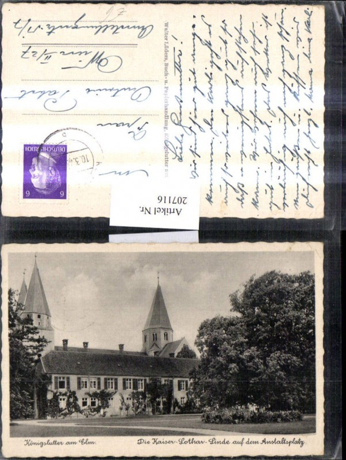 207116,Königslutter am Elm Die Kaiser-Lothar-Linde auf d. Anstaltsplatz