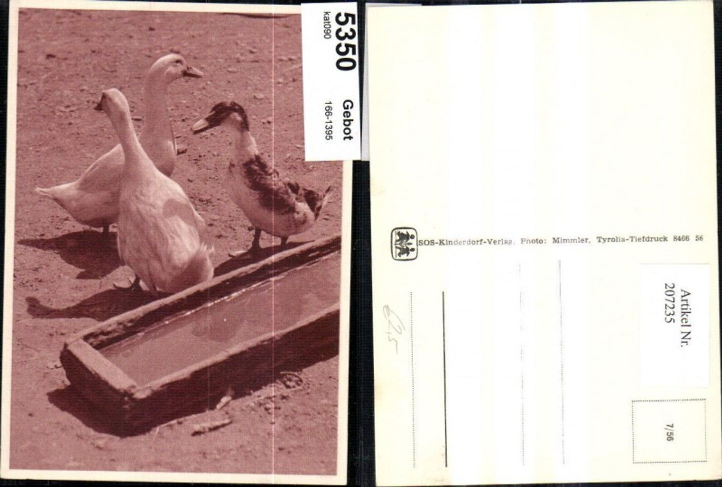 207235,SOS Kinderdorf 7/56 Gans Gänse Ente b. Wassertrog
