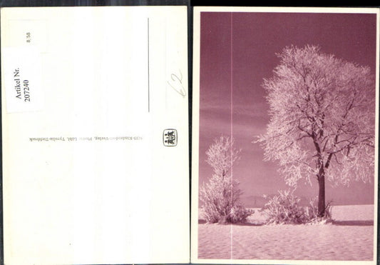 207240,SOS Kinderdorf 8/58 Bäume i. Winter Landschaft