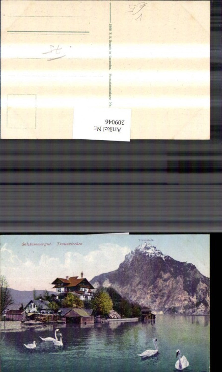 209046,Salzkammergut Traunkirchen Partie Traunstein Schwäne pub Brandt 407