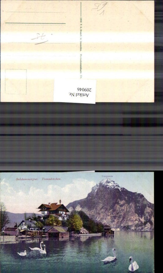 209046,Salzkammergut Traunkirchen Partie Traunstein Schwäne pub Brandt 407