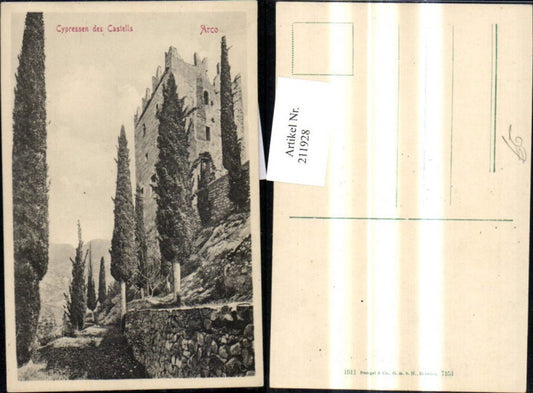 211928,Arco Cypressen des Castells Zypressen Burg