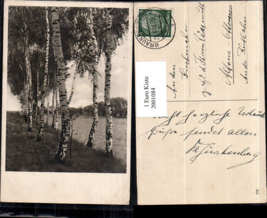 2001084,Braunschweig Birken Partie