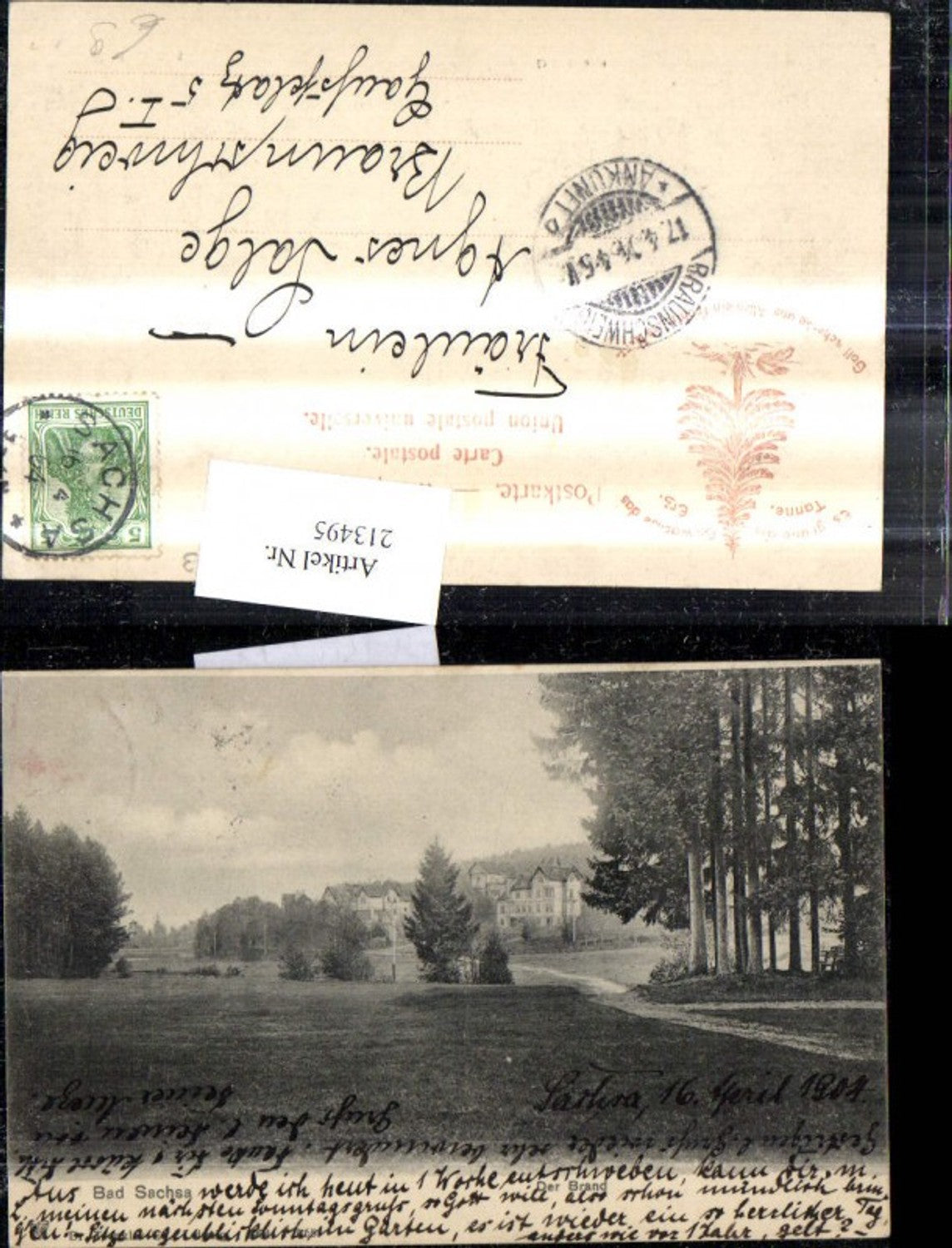 213495,Bad Sachsa Der Brand