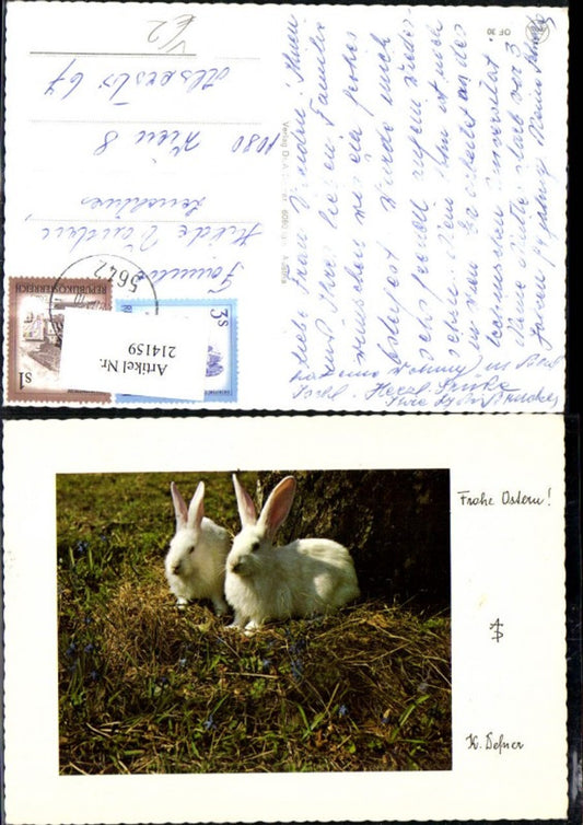 214159, Dr. Defner Happy Easter Easter bunnies bunnies on straw meadow