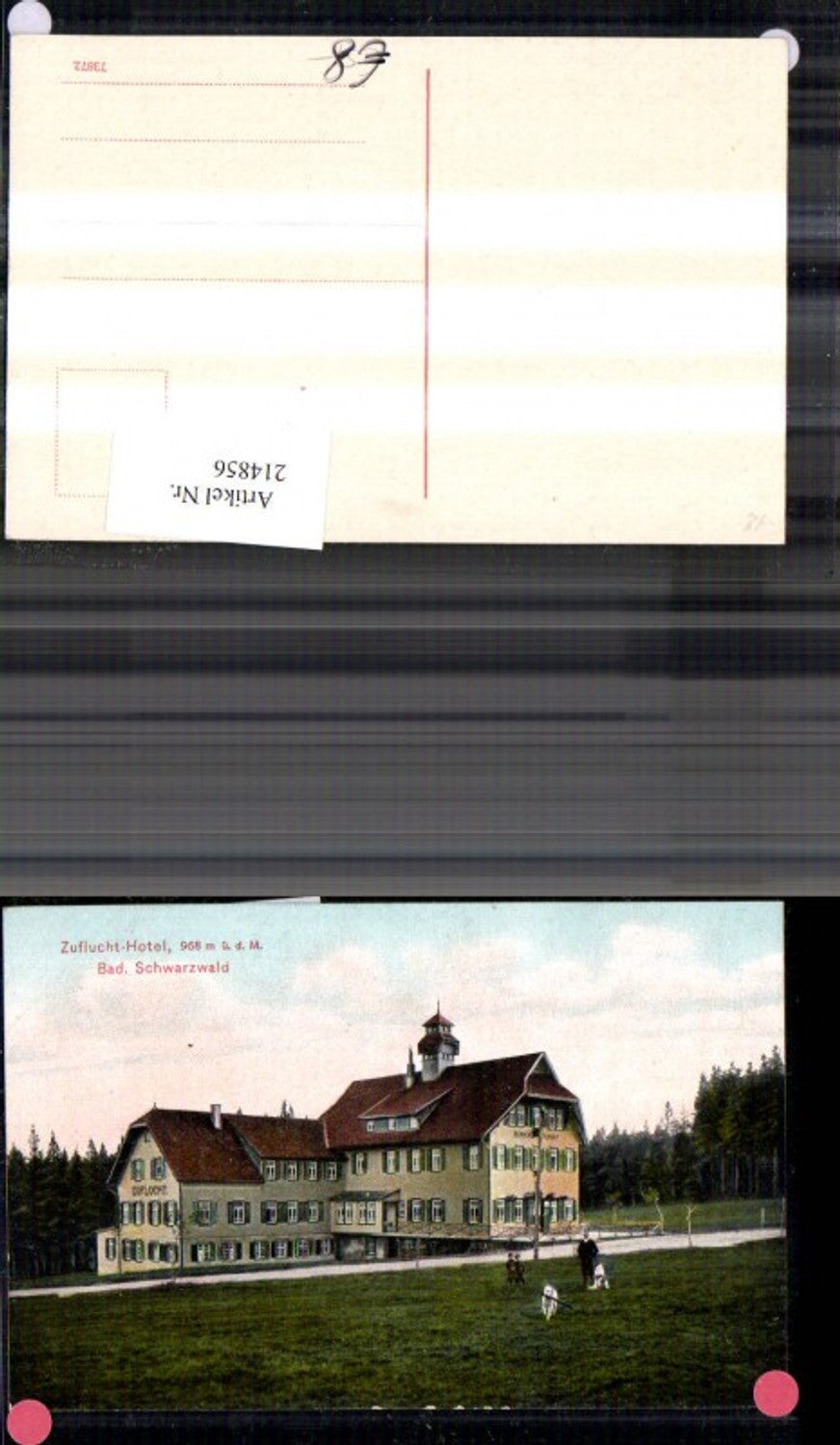 214856,Bad Schwarzwald Zuflucht Hotel