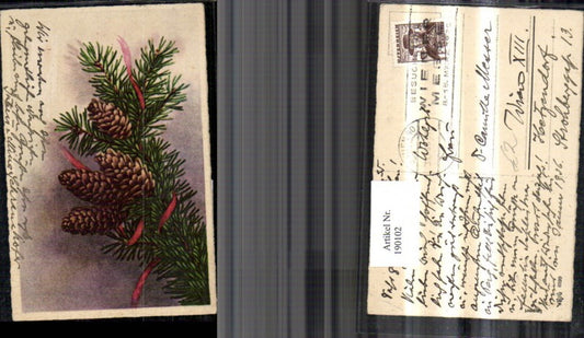 190102, Fir branch, cone, red ribbon
