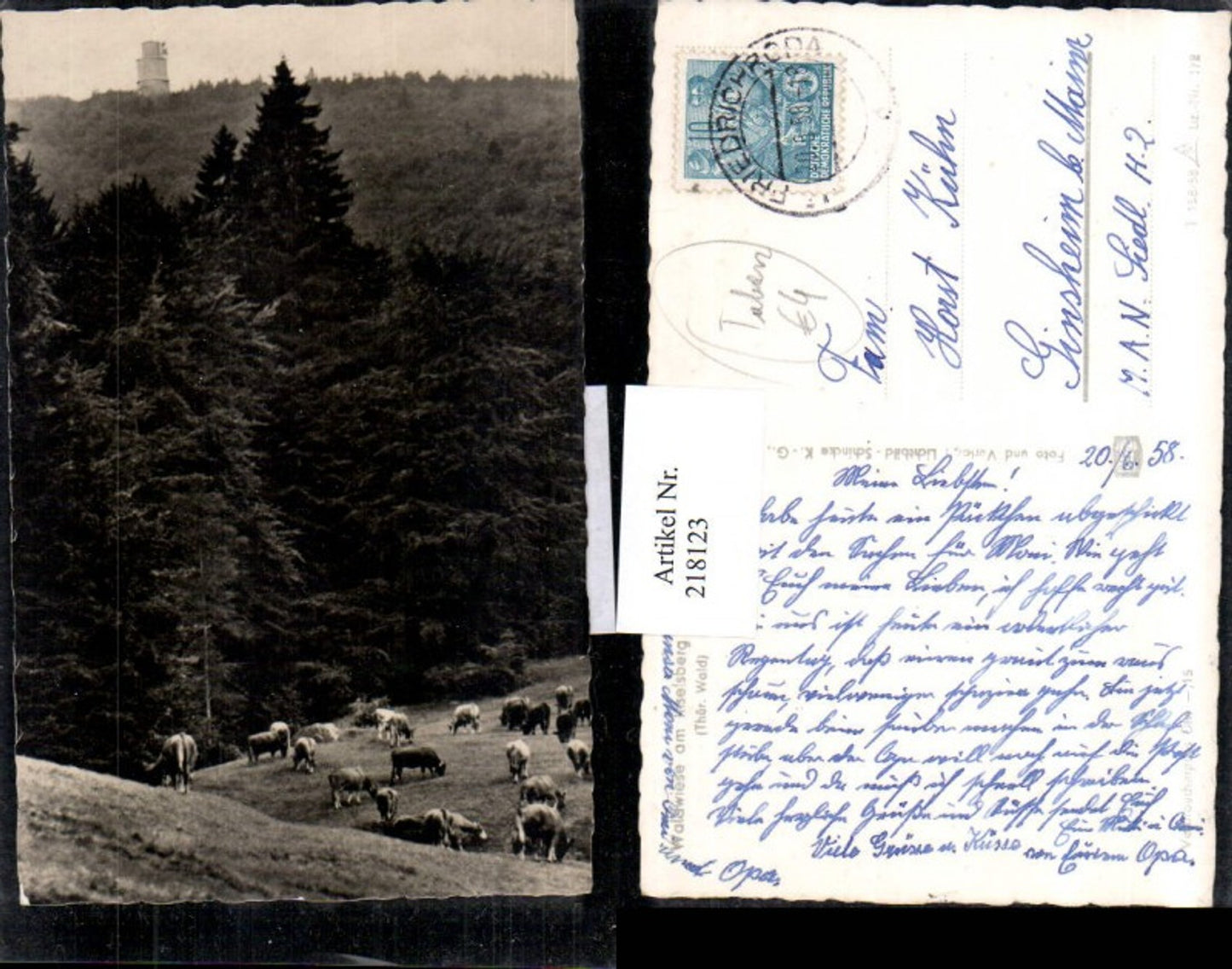 218123,Waldwiese am Inselsberg b. Tabarz im Thüringer Wald