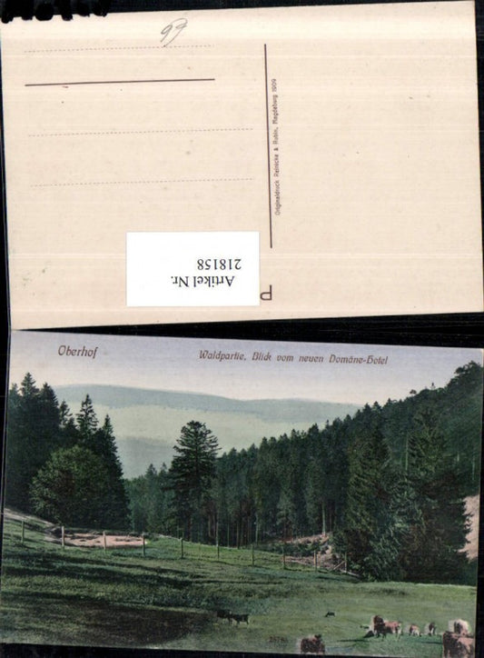 218158,Oberhof Waldpartie Blick v. Neuen Domäne-Hotel