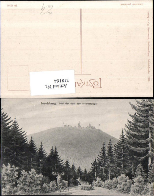 218164,Inselsberg b. Tabarz Waldpartie hirsch