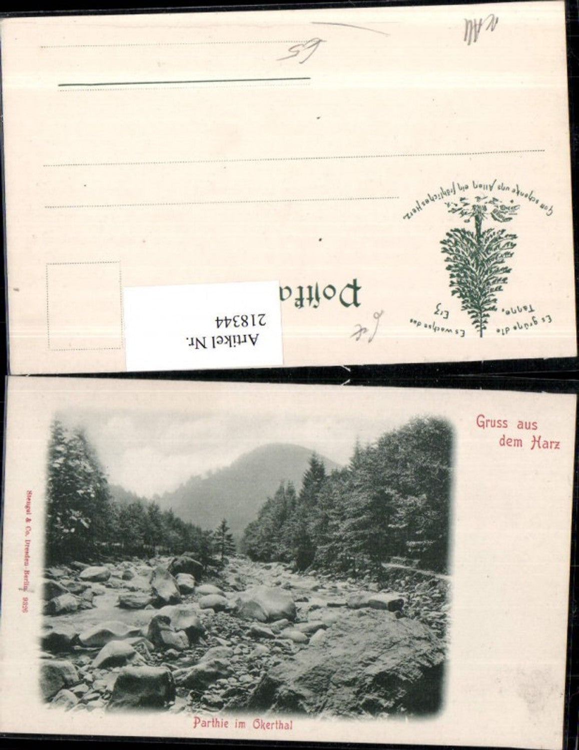 218344,Gruß aus dem Harz Partie im Okerthal